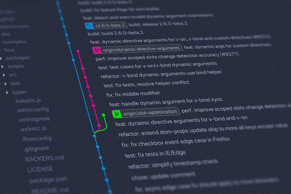 Begleitung Software-Entwicklung