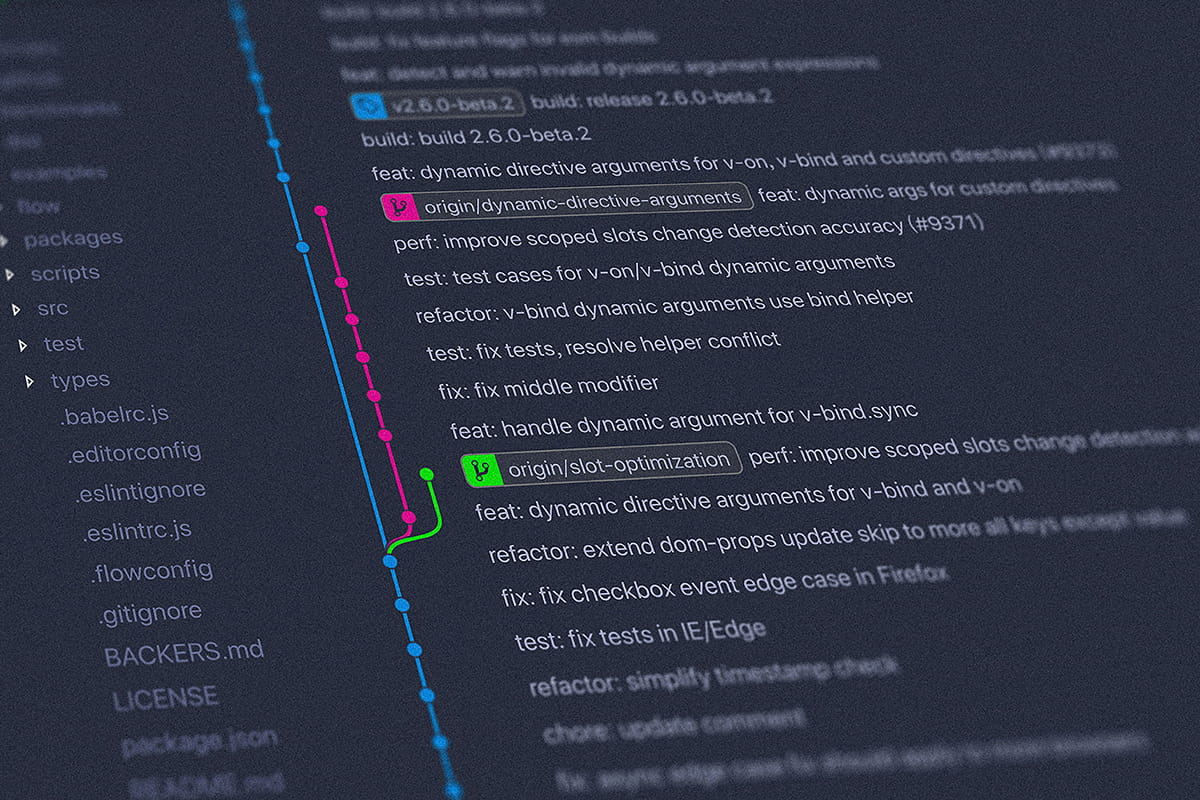 Begleitung Software-Entwicklung